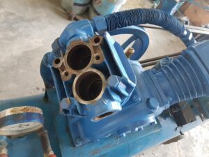 17342836 1474739719216782 7318271876701636815 n